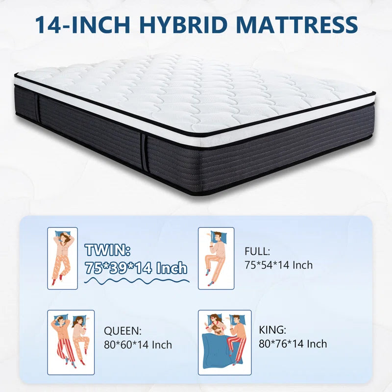 Langione Medium Firm Hybrid and Cooling Foam Mattress, Pressure Relief, and Motion Isolation, Certipur-Us, Mattress in a Box