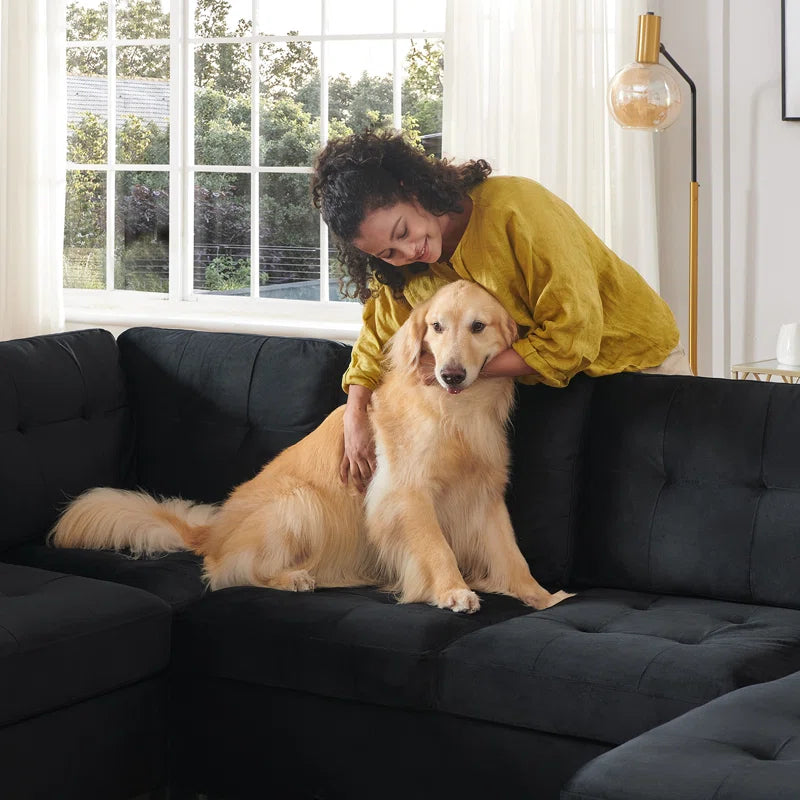 U-Shaped Sleeper Sectional Tufted Sofa Bed with Storage Chaise