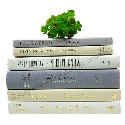 Gray Ivory White Decorative Books
