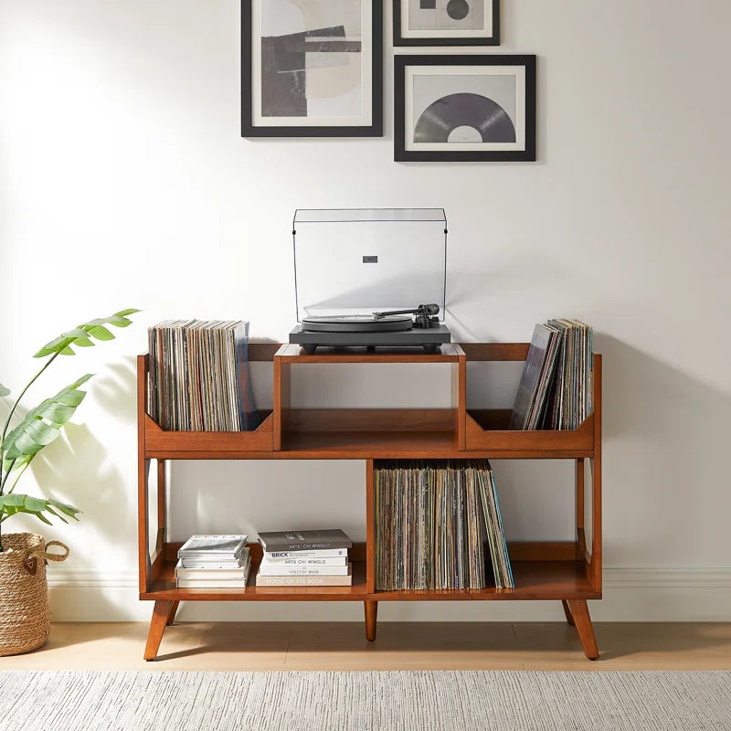 Asheville Large Record Storage Console