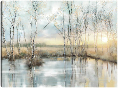 Calm Reflections by Studio Arts Meadow Birch Trees Canvas Art Print