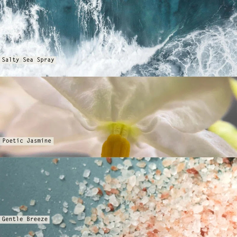 Beautifully Done Fresh Sea Salt Aromatic Diffuser