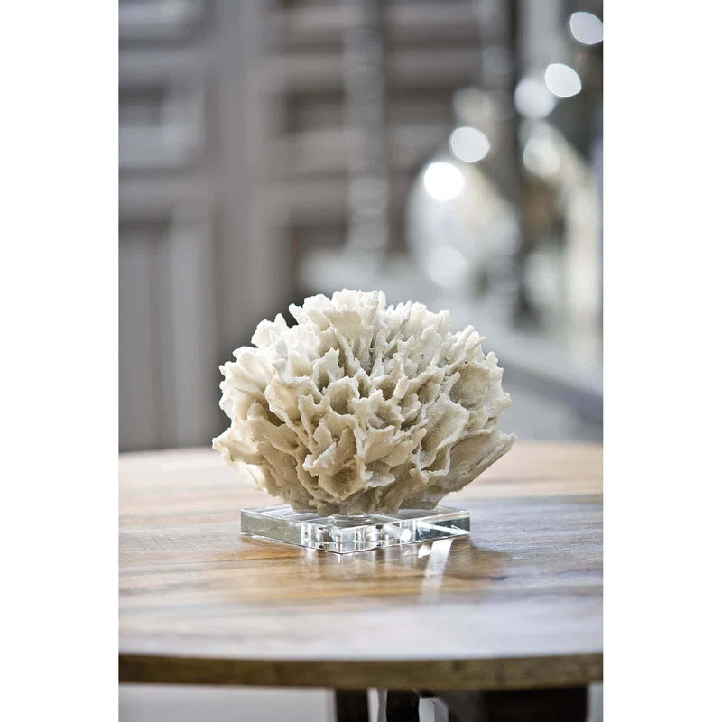 Ribbon Coral