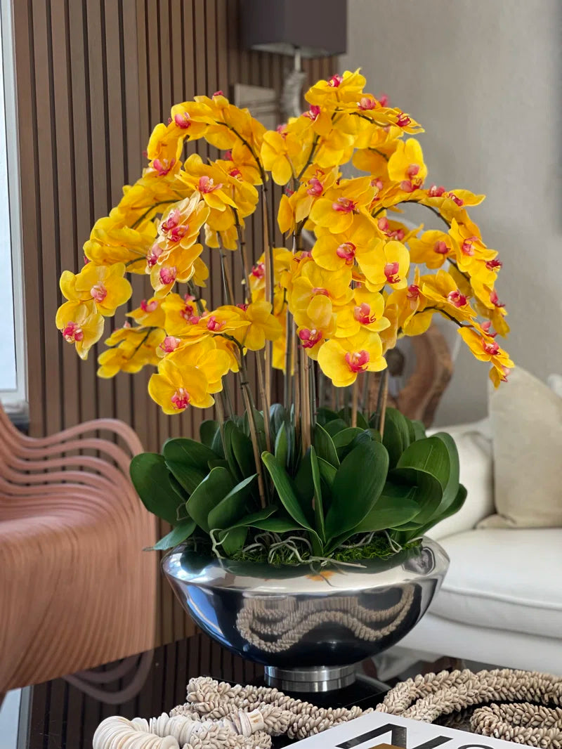 Arrangement in Planter