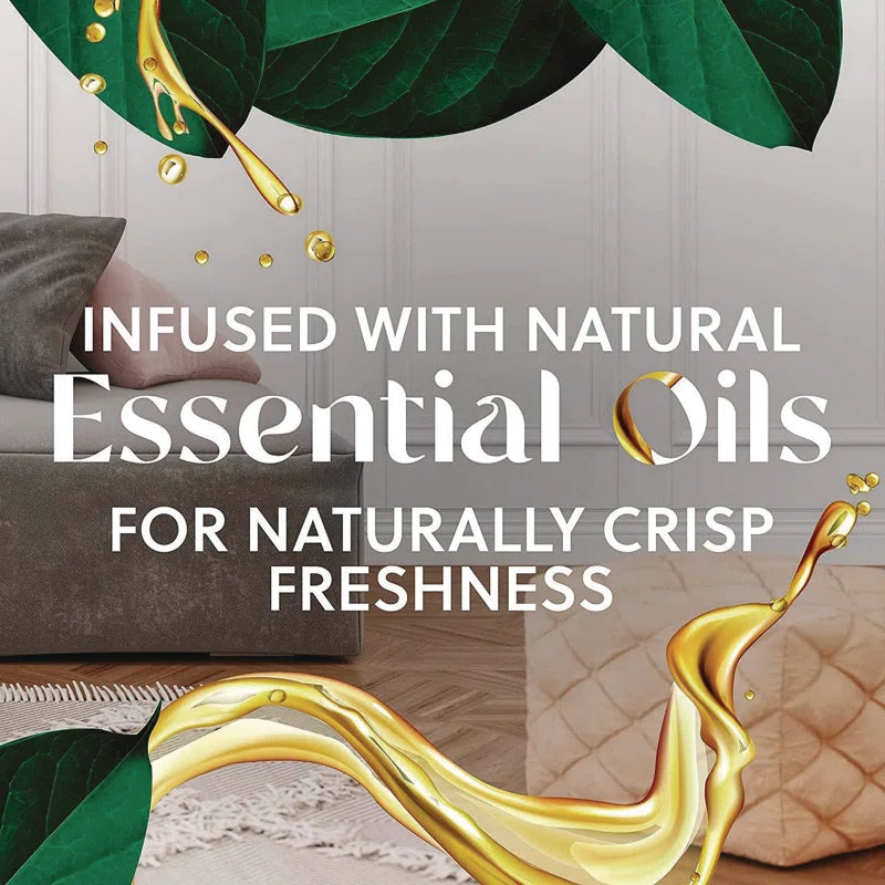 Scented Oil Warmer