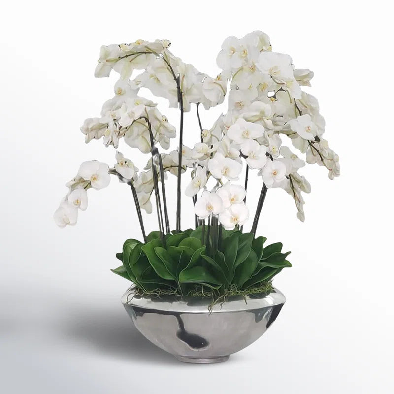 Arrangement in Planter