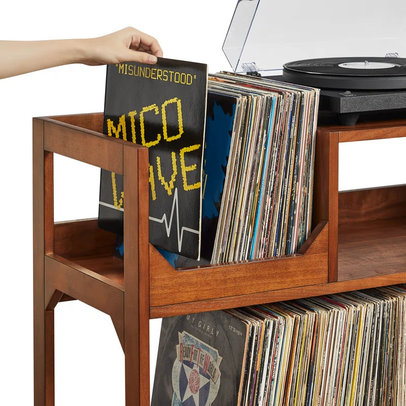 Asheville Large Record Storage Console