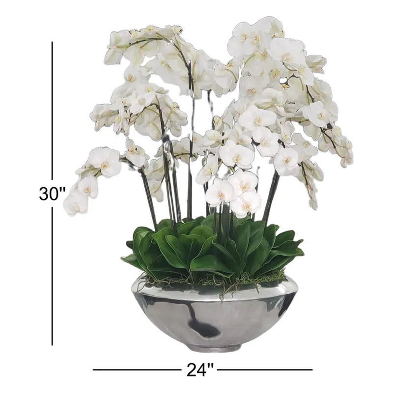Arrangement in Planter