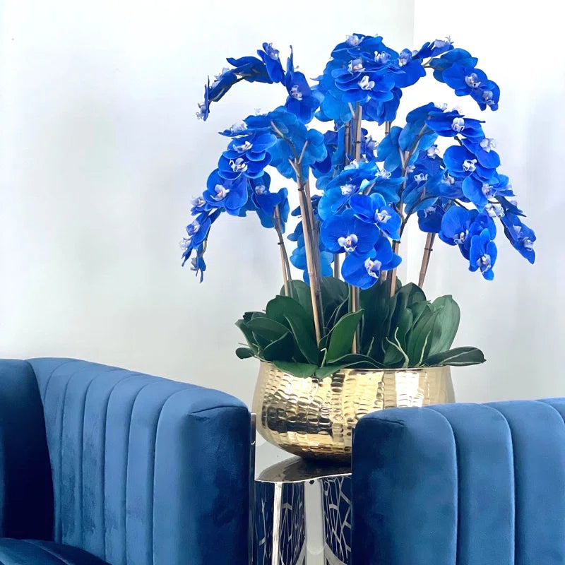 Roberi Arrangement in Pot