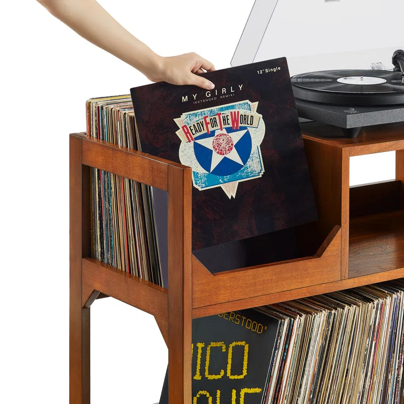 Asheville Large Record Storage Console