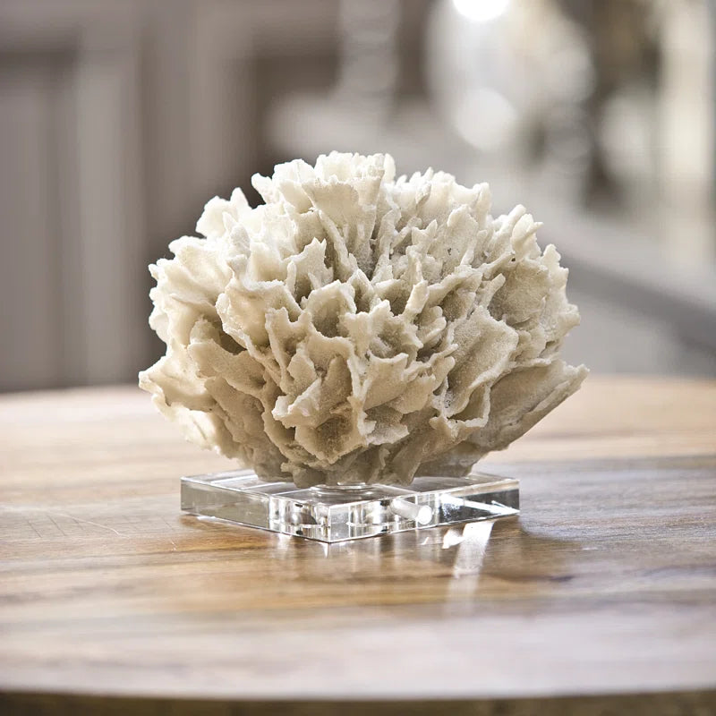Ribbon Coral